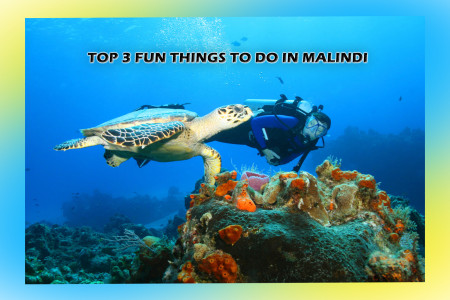 Shows a person scuba diving at Malindi Marine Park