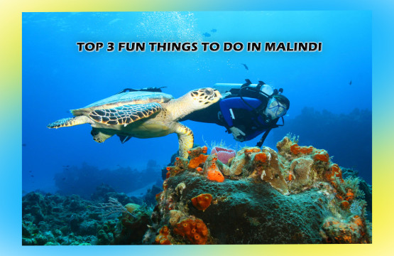 Shows a person scuba diving at Malindi Marine Park